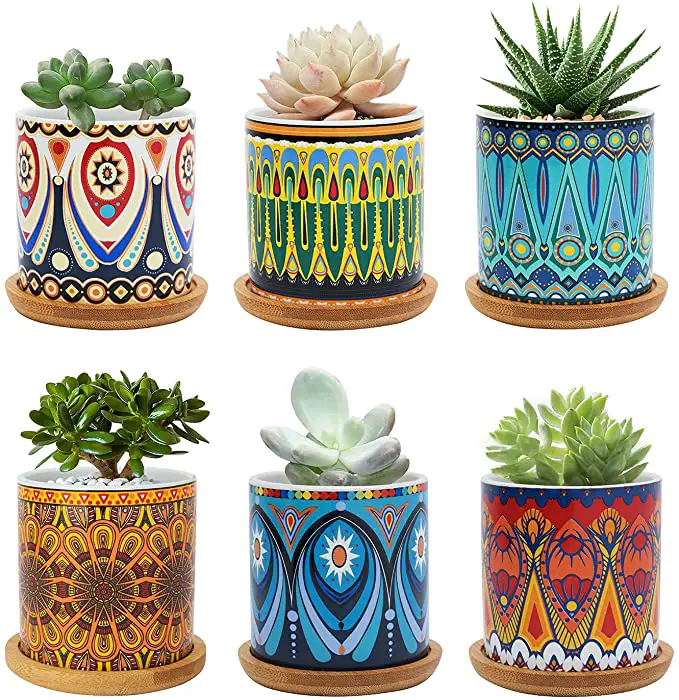 succulent pots