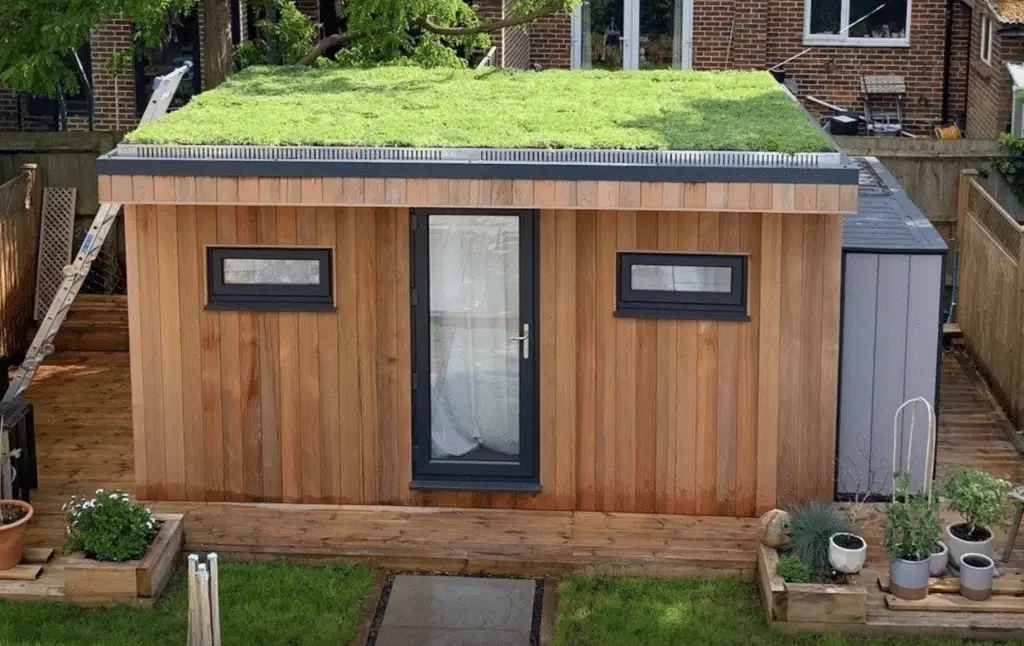 Green roof office shed ideas